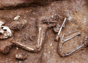 6000 illik qədim insan qalıqlarının DNK-sı öyrənilir