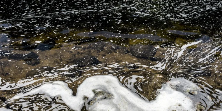 Oreqon çayını zəhərləyən şirkət günahını etiraf etdi