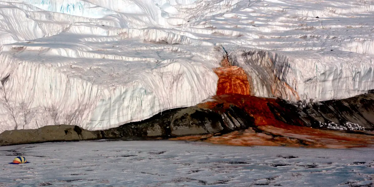 Antarktikadakı “Qanlı şəlalə”nin sirri açıldı