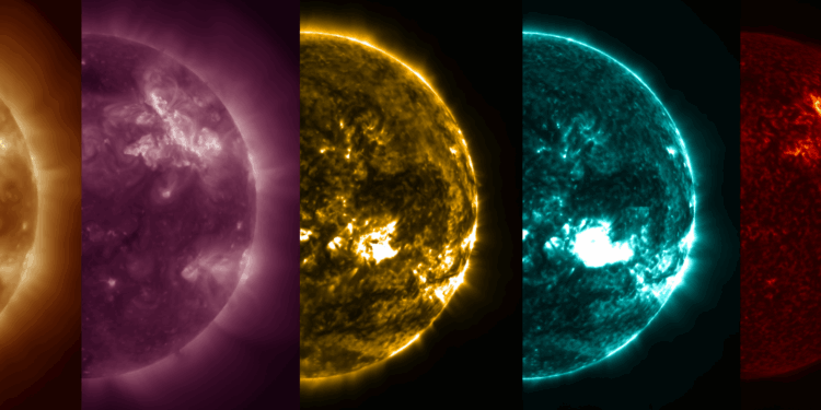 “Surya” adlı yeni süni zəka modeli hazırlanır