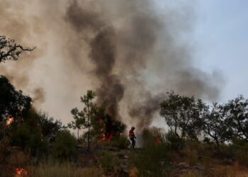 Avropa ərazisində rekord səviyyədə yanğınlar baş verib