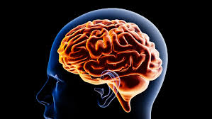 UCSF Tədqiqatçıları Beyin Yaşlanmasının Yeni Səbəbini Aşkarladılar