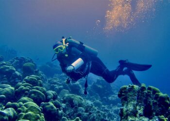 Mərcanlı resiflərin elmi əsaslı bərpası