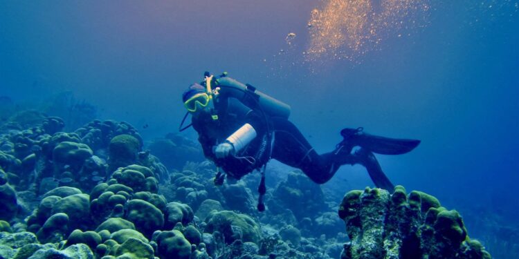 Mərcanlı resiflərin elmi əsaslı bərpası