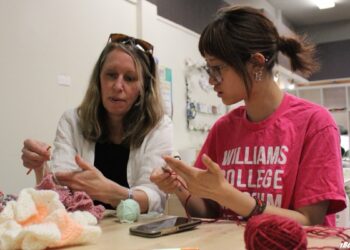 Şimal yarımkürədə “koral” layihəsi