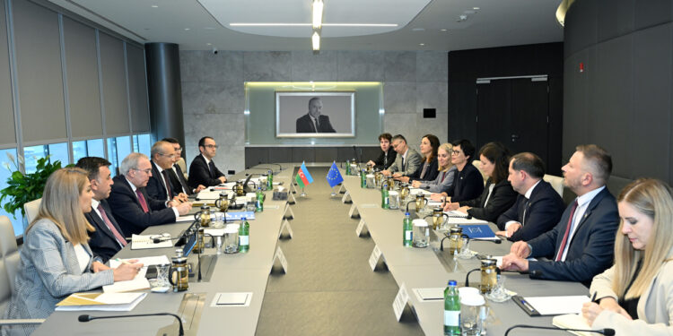 Avropa İttifaqı ilə iqtisadi əməkdaşlığın inkişafı müzakirə edilib