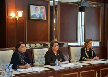 Ailə, qadın və uşaq məsələləri komitəsinin iclasında