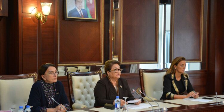 Ailə, qadın və uşaq məsələləri komitəsinin iclasında