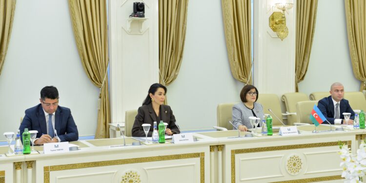 Milli Məclisin sədri Sahibə Qafarova Türkiyənin İnsan Hüquqları və Bərabərlik Qurumunun sədri ilə görüşüb