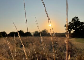 Şimal yarımkürəsində bu həftə payız ekvinoksu müşahidə ediləcək