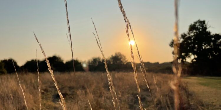 Şimal yarımkürəsində bu həftə payız ekvinoksu müşahidə ediləcək
