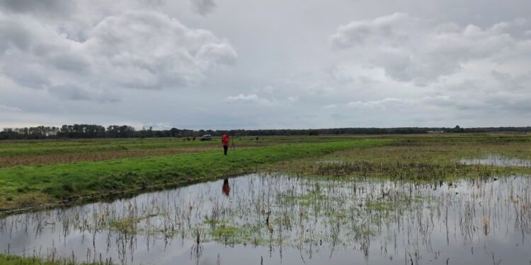 İngiltərənin torf sahələrini yandırma qadağan edildi