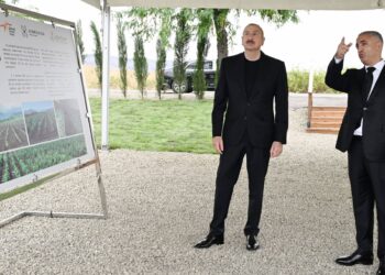 İlham Əliyev Xocalının Daşbulaq kəndində tut bağında görülmüş işlərlə tanış olub