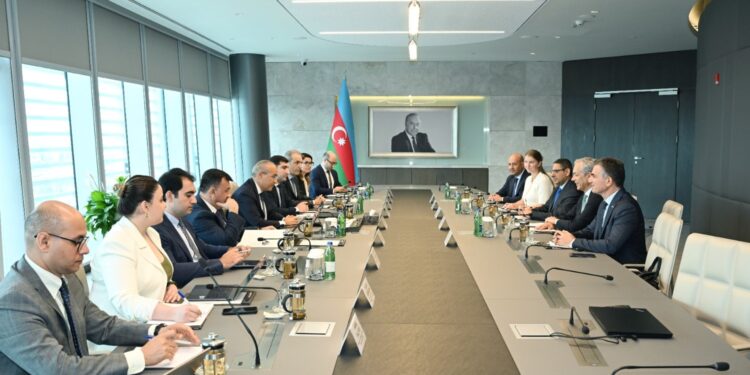 “ACWA Power” şirkəti ilə dəniz suyunun duzsuzlaşdırılması layihəsi müzakirə edilib