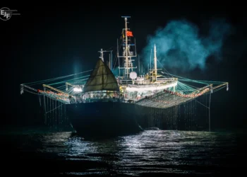 Cənub-Qərbi Atlantikada kalmar balıqçılığı ekoloji böhranı üzə çıxarır