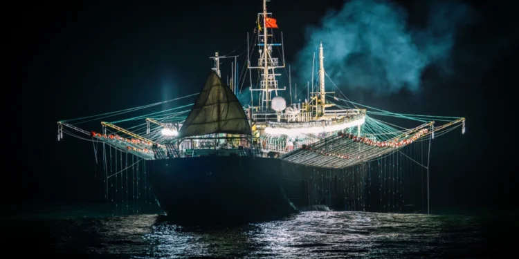 Cənub-Qərbi Atlantikada kalmar balıqçılığı ekoloji böhranı üzə çıxarır