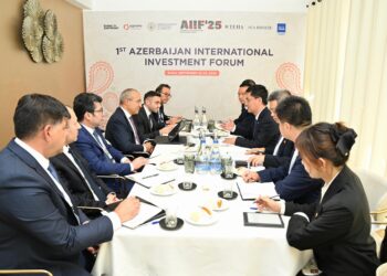 “Datang Overseas Investment Co” şirkətinin prezidenti ilə görüş keçirilib