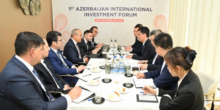 “Datang Overseas Investment Co” şirkətinin prezidenti ilə görüş keçirilib