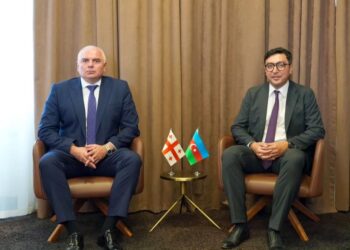 Fərid Qayıbov Gürcüstanın idman naziri ilə görüşüb.