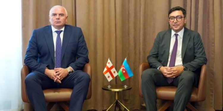 Fərid Qayıbov Gürcüstanın idman naziri ilə görüşüb.