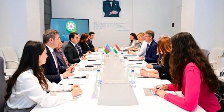 Azərbaycan ilə Macarıstan arasında mədəniyyət sahəsində əməkdaşlıq müzakirə olunub