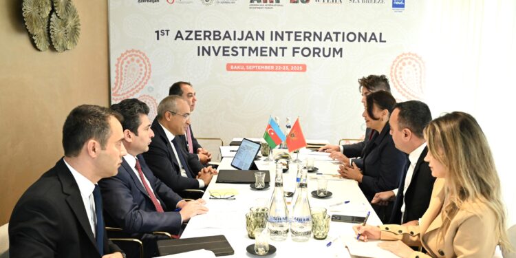 Monteneqro ilə tərəfdaşlığın möhkəmləndirilməsi müzakirə olunub