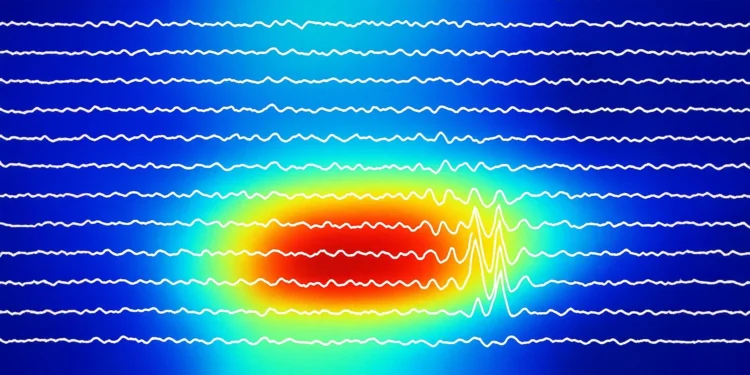 Beyin ritmləri köhnə xatirələrlə yeni təcrübələr arasında gizli “düyməni” açıqlayır