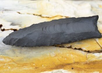 “Clovis” mədəniyyətinə aid arxeoloji tədqiqatlar