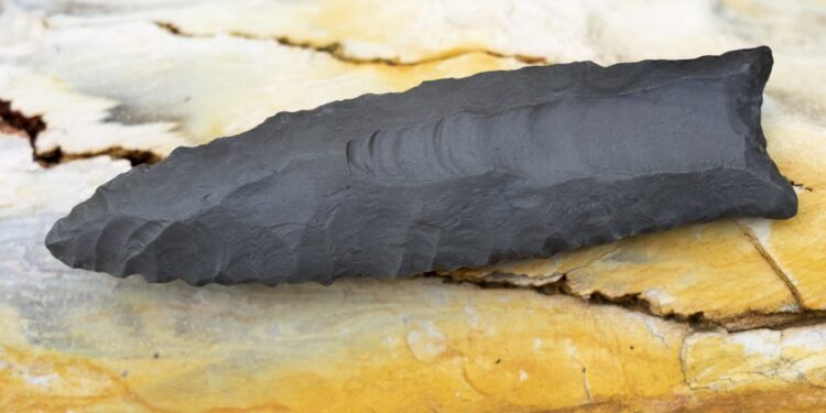 “Clovis” mədəniyyətinə aid arxeoloji tədqiqatlar