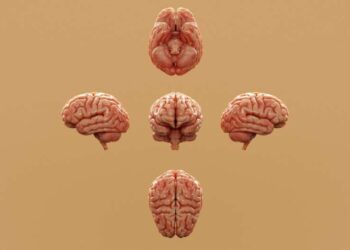 Yeni tədqiqat insanlarda autizmin yüksək yayılmasını izah edir