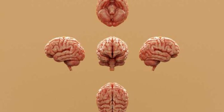 Yeni tədqiqat insanlarda autizmin yüksək yayılmasını izah edir