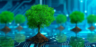 Virtual ekologiyada yenilik