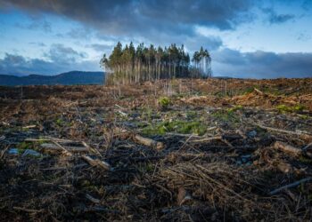 Torpaqların 60%-i ekoloji təhlükəli vəziyyətdə