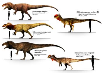 Tapılmış sürünən izləri “Kretase” dövrü barədə məlumat verir