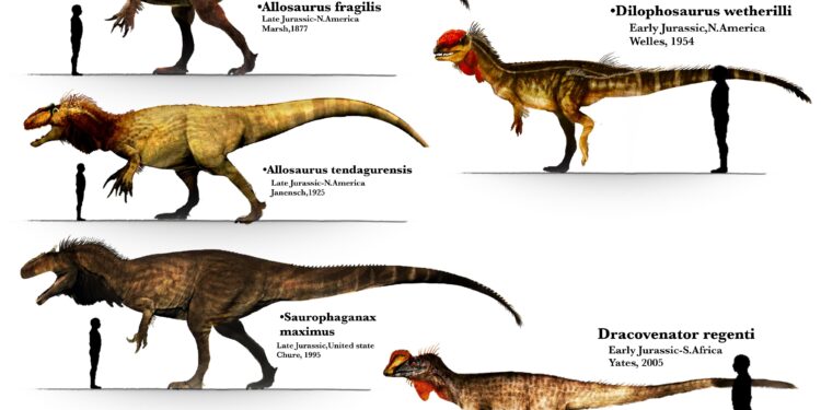 Tapılmış sürünən izləri “Kretase” dövrü barədə məlumat verir