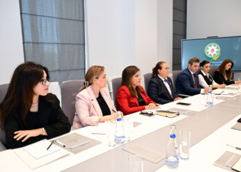 Mədəniyyət Nazirliyində Çin nümayəndə heyəti ilə görüş olub