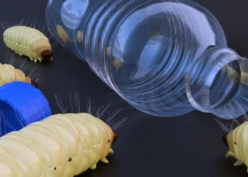 “Plastikyeyən”  tırtıllar