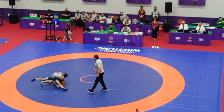 Azərbaycan güləşçisi III MDB Oyunlarının qalibi olub