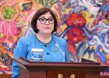 Milli Məclisin sədri: “Ötən 30 ildə Xorvatiya ilə əlaqələr strateji tərəfdaşlıq səviyyəsinə yüksəlib”