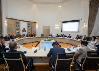 Azərbaycanla Çin arasında “Yaşıl Enerjinin İnkişafı üzrə Birgə Tədqiqat Mərkəzi”nin yaradılması müzakirə edilib