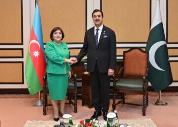 Milli Məclisin sədri Sahibə Qafarova Pakistan İslam Respublikası Senatının sədri ilə görüşüb