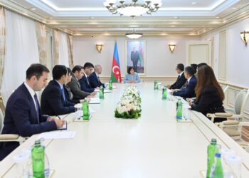 Milli Məclisin sədri Sahibə Qafarova TÜRKPA-nın yeni Baş katibinin başçılıq etdiyi nümayəndə heyətini qəbul edib