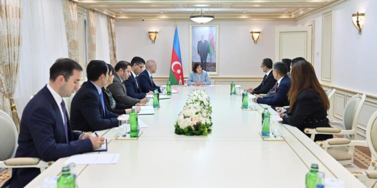 Milli Məclisin sədri Sahibə Qafarova TÜRKPA-nın yeni Baş katibinin başçılıq etdiyi nümayəndə heyətini qəbul edib