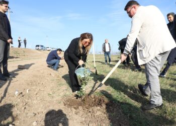 “Azərbaycan QHT-lərinin Əməkdaşlıq Forumu”nun iştirakçıları Xocalıda ağacəkmə aksiyası keçirib