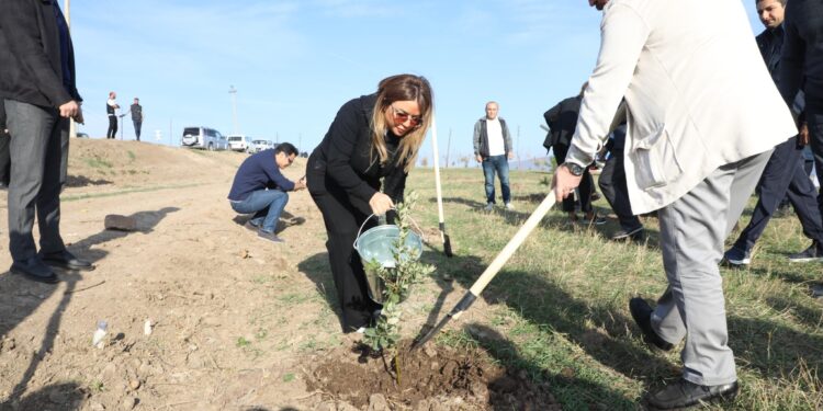 “Azərbaycan QHT-lərinin Əməkdaşlıq Forumu”nun iştirakçıları Xocalıda ağacəkmə aksiyası keçirib