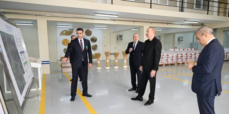 İlham Əliyev Sabirabad Sənaye Məhəlləsində “Azera Toxumçuluq” Məhdud Məsuliyyətli Cəmiyyətinin (MMC) toxum istehsalı müəssisəsinin fəaliyyəti ilə tanış olub