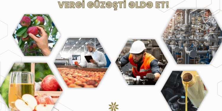 20-dən çox KOB subyekti birləşəcək