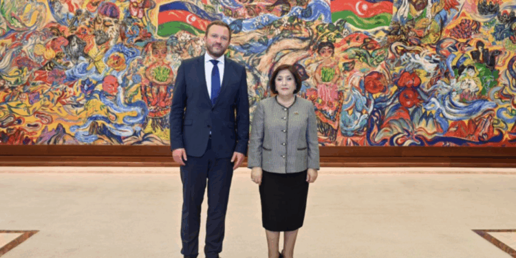 Milli Məclisin sədri Sahibə Qafarova Estoniyanın xarici işlər naziri ilə görüşüb