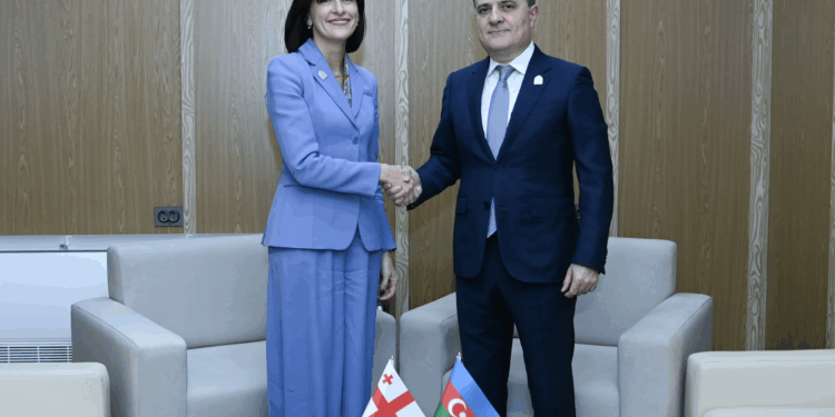 Nazir Ceyhun Bayramov Gürcüstanın xarici işlər naziri Maka Botçorişvili ilə görüşüb