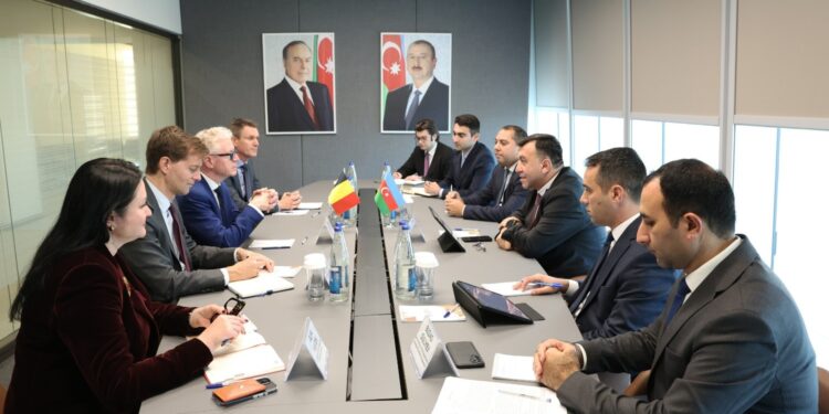 Belçika ilə iqtisadi tərəfdaşlığın inkişafı müzakirə olunub